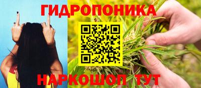 шишки Малгобек