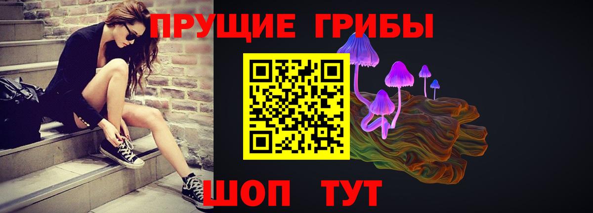 Псилоцибиновые грибы GOLDEN TEACHER  купить закладку  Чистополь  Вход с VPN 
